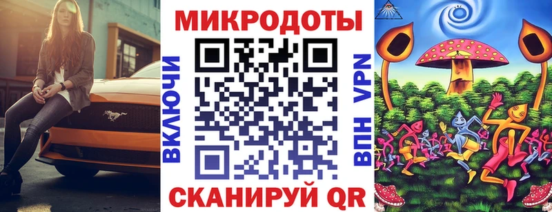 Псилоцибиновые грибы Cubensis hydra как войти Тайга