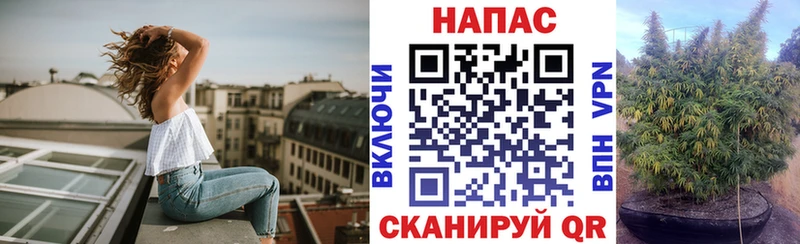 Бошки Шишки индика  купить наркотик  Тайга 